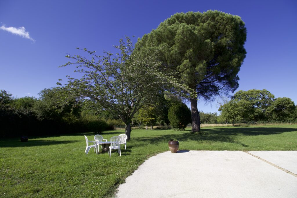 Jardin