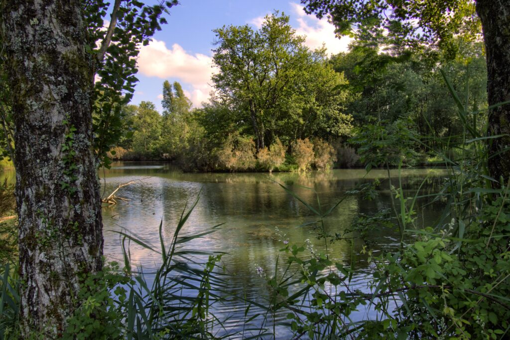 Etang 2