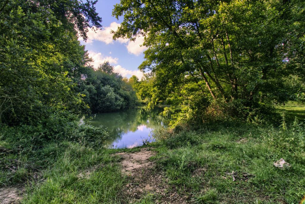 Etang 1